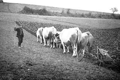 Labours