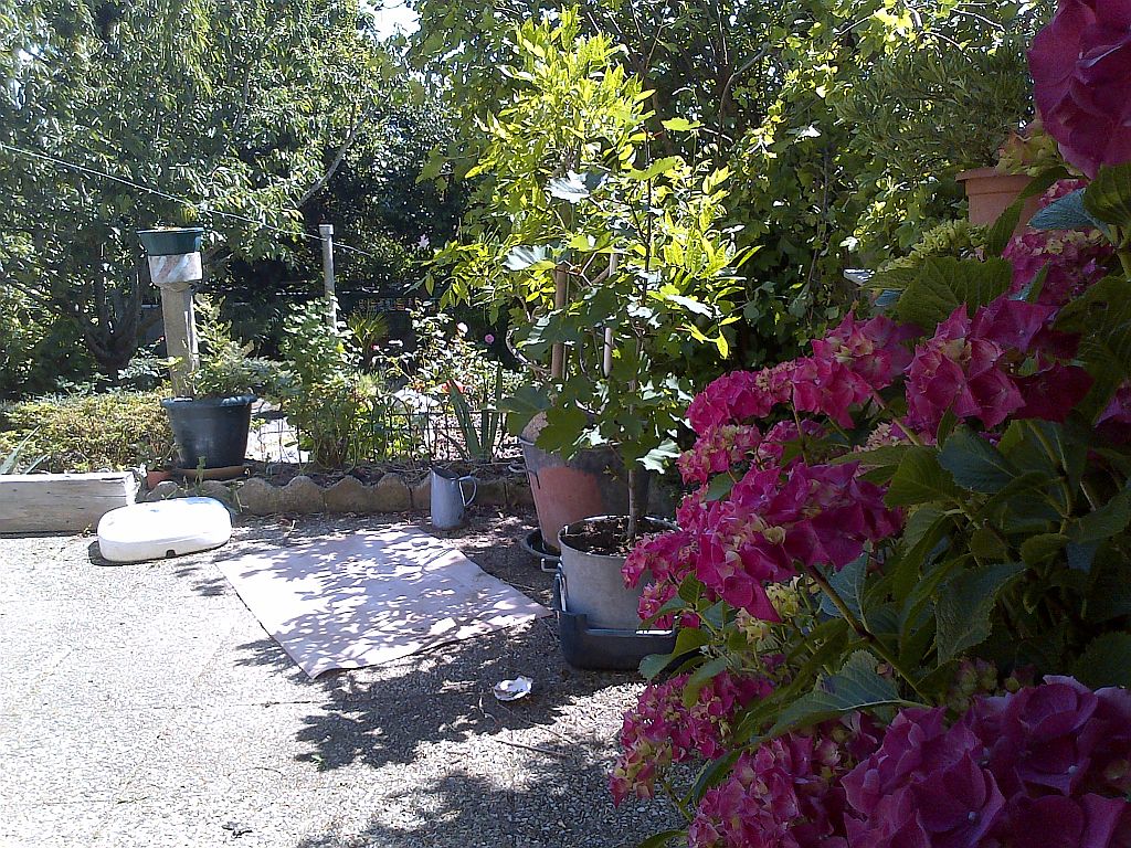 Jardin
